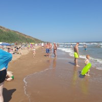 20190719_100631.jpg