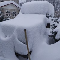 Мы, друзья, перелетные птицы и чего то нас тянет на юг.... Нива.jpg