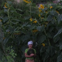 IMG_1113.JPG