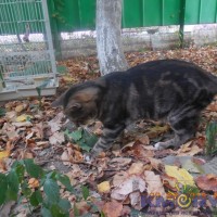 DSCN5162.JPG