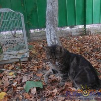 DSCN5163.JPG